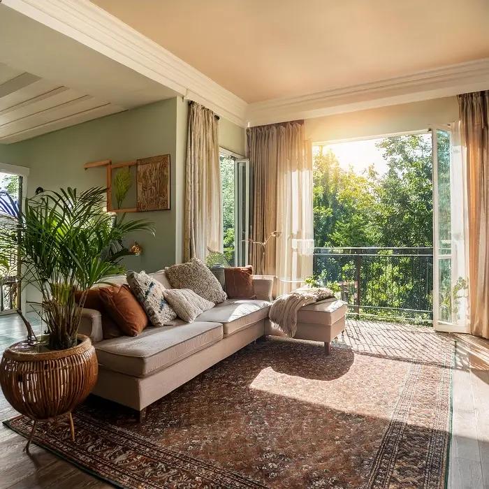 أرضيات الفينيل مقابل السجاد